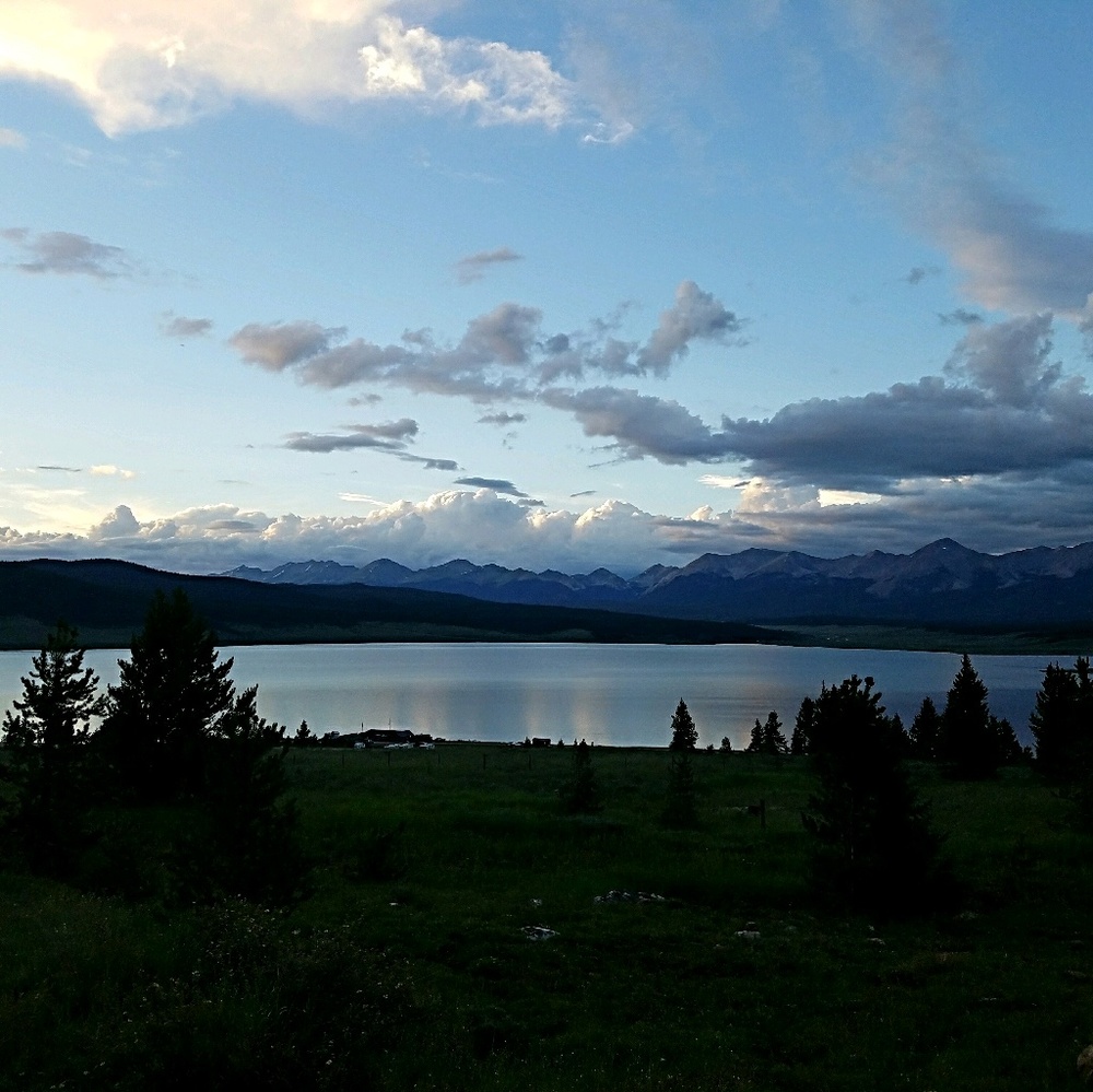 Meet your Posher, Kassie